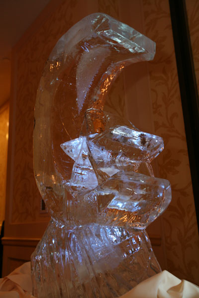 2010 Gala photo album